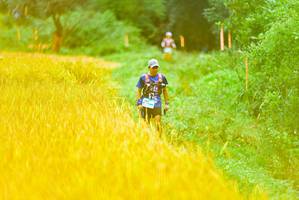 BIB: 
                            <button type="button" onclick="openModal(13455433)" class="btn btn-primary btn-sm float-right btn-popup" data-toggle="modal" data-target=".modal-high-quality">
                        <i class="fas fa-shopping-cart"></i> Add to Cart
                    </button>
                                            <button type="button" onclick="isThisMe(13455433, true)" class="btn btn-success btn-sm float-right btn-popup btn-isme hidden" data-toggle="tooltip" data-placement="bottom" title="นี่คือรูปของคุณใช่ไหม คลิกที่นี่เพื่อเอาเข้าอัลบั้ม">
                        <i class="fas fa-plus"></i> Add to album
                    </button>
                    <button type="button" onclick="isThisMe(13455433, false)" class="btn btn-warning btn-sm float-right btn-popup btn-isnotme hidden">
                        <i class="fas fa-ban"></i> Remove from album
                    </button>